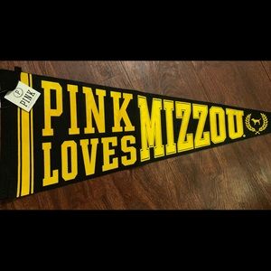 VS PINK COLLEGIATE PENNANT